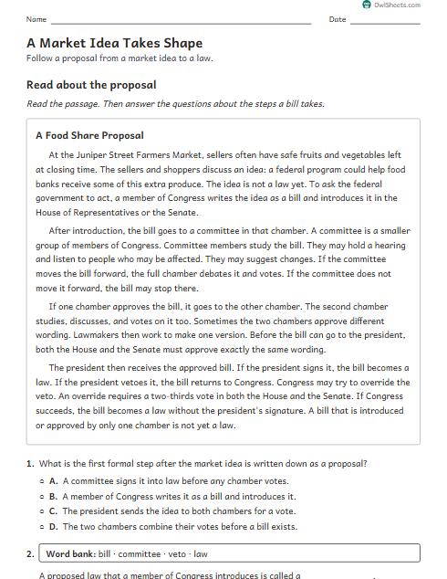 A Market Idea Takes Shape worksheet preview