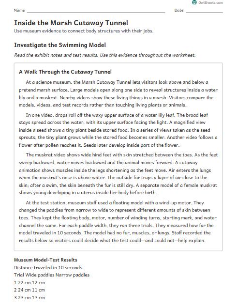Inside the Marsh Cutaway Tunnel worksheet preview