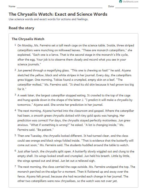 The Chrysalis Watch: Exact and Science Words worksheet preview