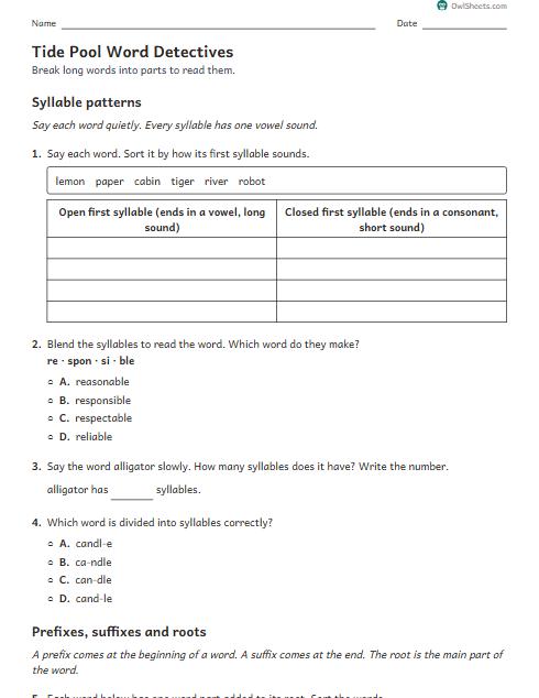 Tide Pool Word Detectives worksheet preview