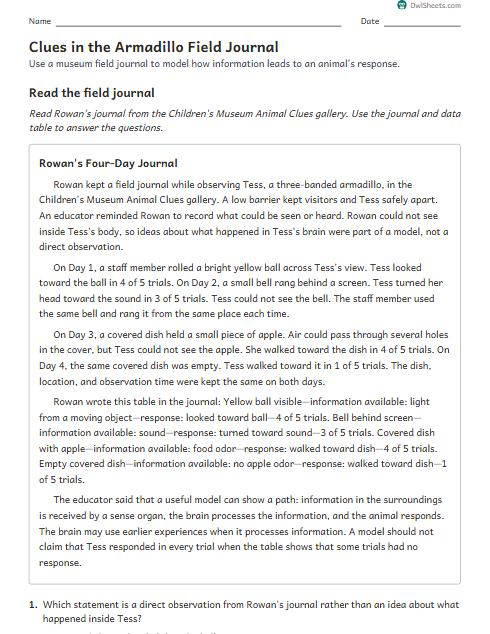 Clues in the Armadillo Field Journal worksheet preview