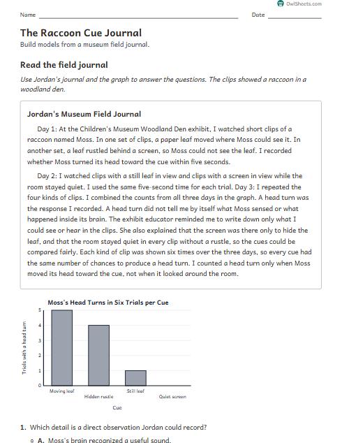 The Raccoon Cue Journal worksheet preview