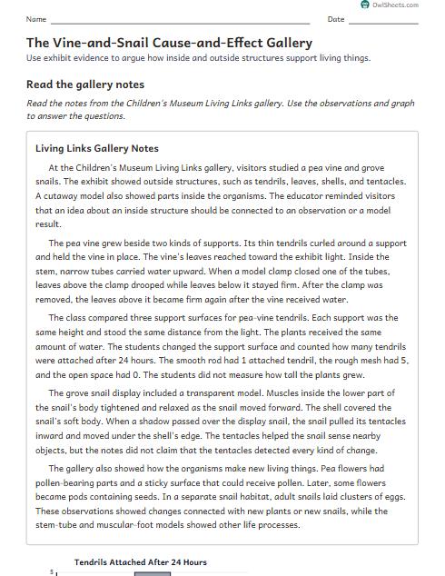 The Vine-and-Snail Cause-and-Effect Gallery worksheet preview