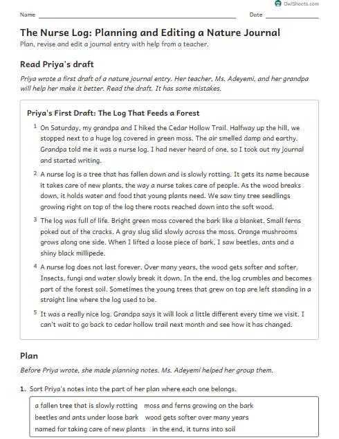 The Nurse Log: Planning and Editing a Nature Journal worksheet preview