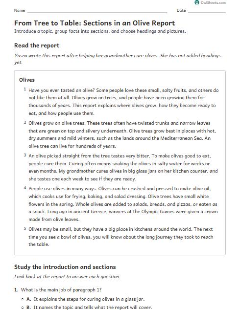 From Tree to Table: Sections in an Olive Report worksheet preview