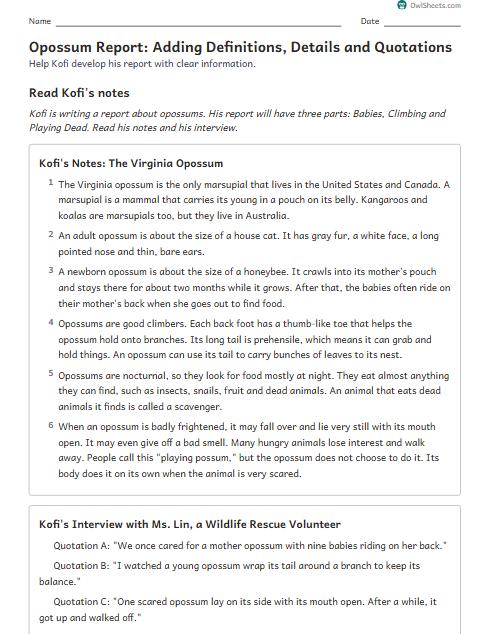 Opossum Report: Adding Definitions, Details and Quotations worksheet preview