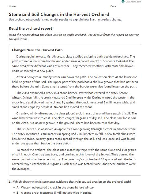 Stone and Soil Changes in the Harvest Orchard worksheet preview