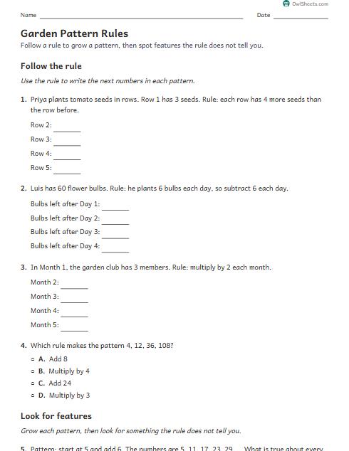 Garden Pattern Rules worksheet preview