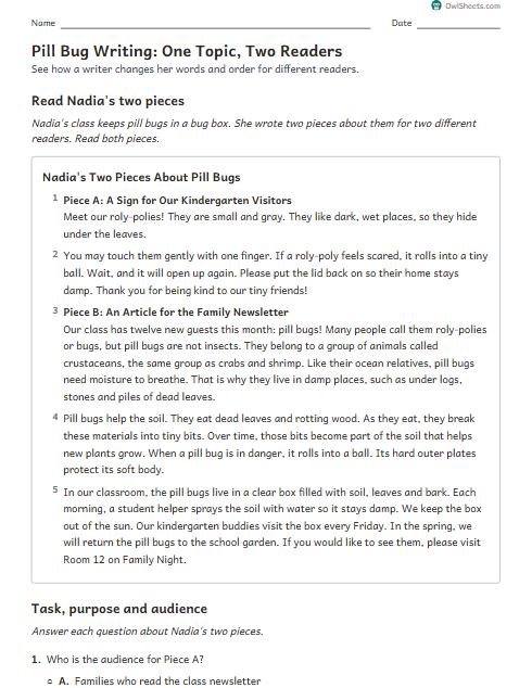 Pill Bug Writing: One Topic, Two Readers worksheet preview