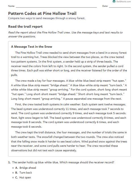Pattern Codes at Pine Hollow Trail worksheet preview