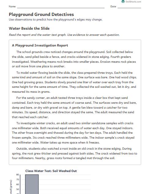 Playground Ground Detectives worksheet preview