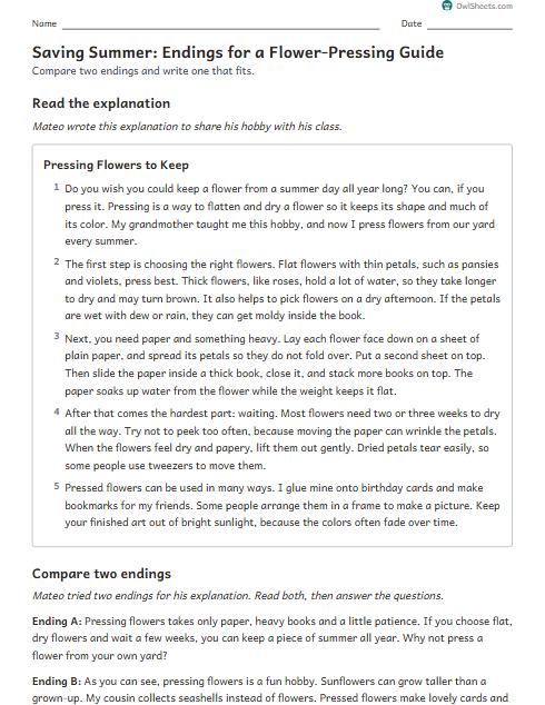 Saving Summer: Endings for a Flower-Pressing Guide worksheet preview