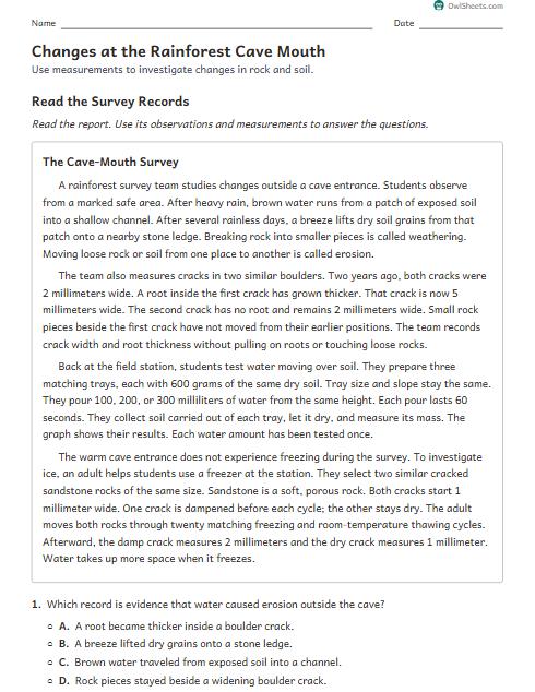 Changes at the Rainforest Cave Mouth worksheet preview