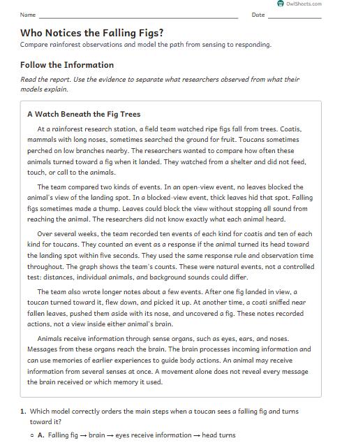 Who Notices the Falling Figs? worksheet preview