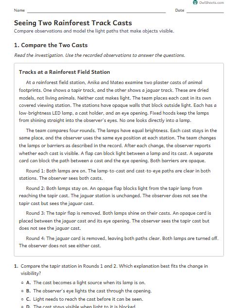 Seeing Two Rainforest Track Casts worksheet preview