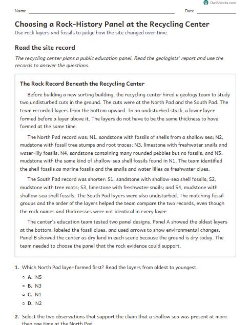 Choosing a Rock-History Panel at the Recycling Center worksheet preview