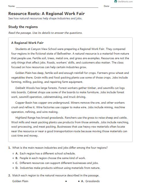 Resource Roots: A Regional Work Fair worksheet preview