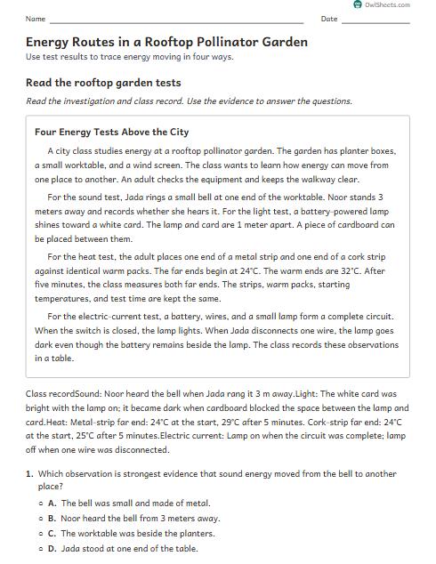 Energy Routes in a Rooftop Pollinator Garden worksheet preview