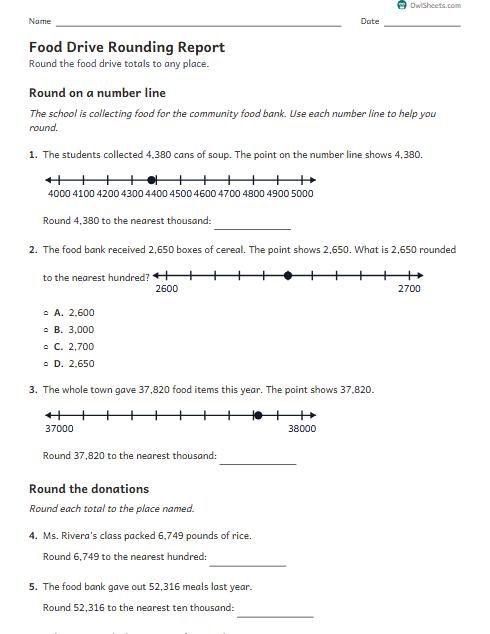 Food Drive Rounding Report worksheet preview