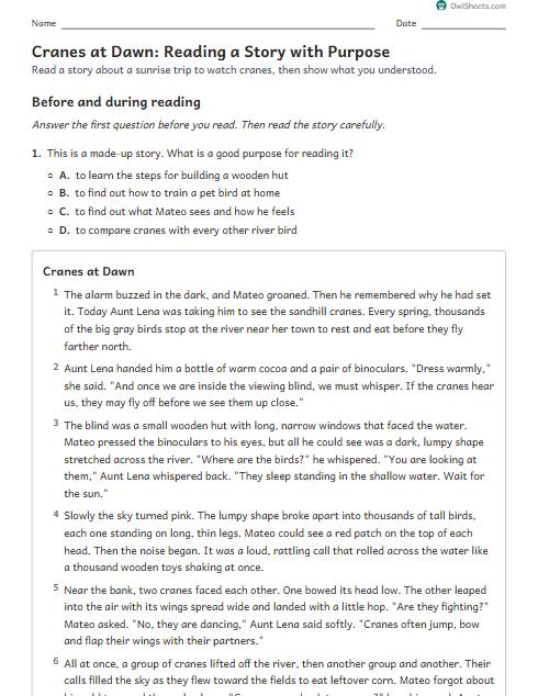 Cranes at Dawn: Reading a Story with Purpose worksheet preview