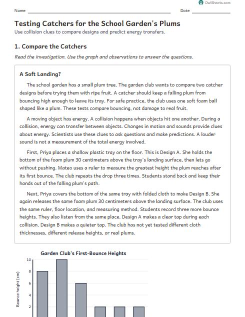 Testing Catchers for the School Garden's Plums worksheet preview