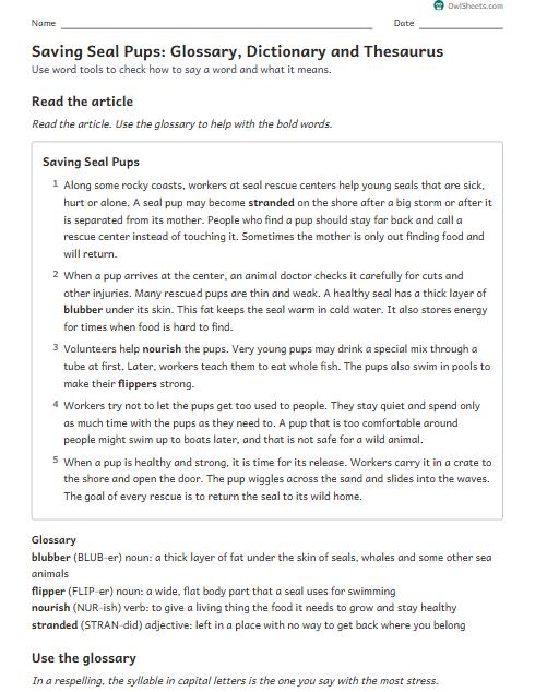 Saving Seal Pups: Glossary, Dictionary and Thesaurus worksheet preview