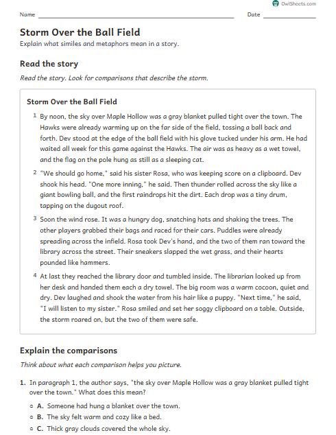 Storm Over the Ball Field worksheet preview