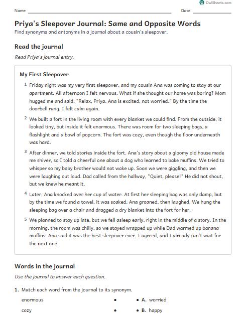 Priya's Sleepover Journal: Same and Opposite Words worksheet preview