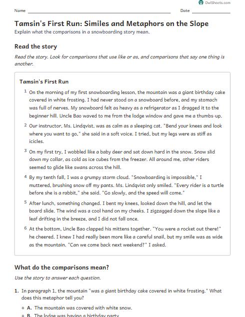 Tamsin's First Run: Similes and Metaphors on the Slope worksheet preview