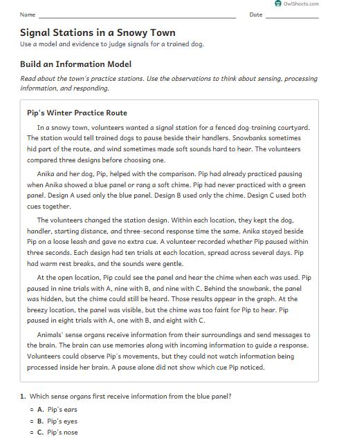 Signal Stations in a Snowy Town worksheet preview