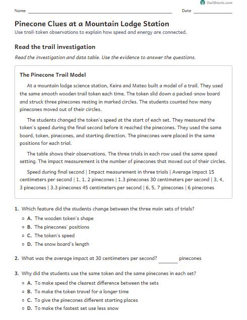 Pinecone Clues at a Mountain Lodge Station worksheet preview