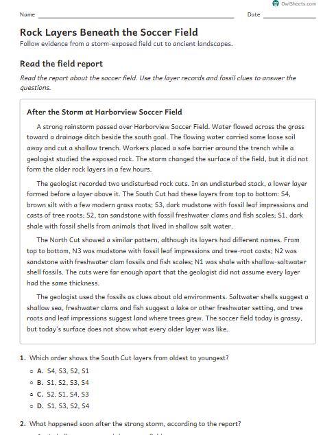 Rock Layers Beneath the Soccer Field worksheet preview