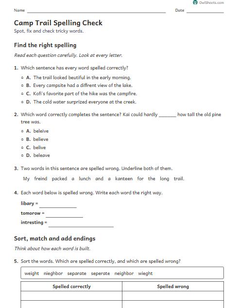 Camp Trail Spelling Check worksheet preview