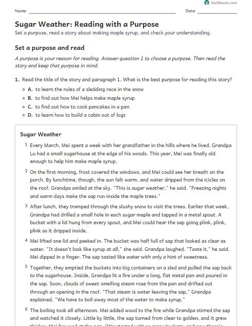 Sugar Weather: Reading with a Purpose worksheet preview
