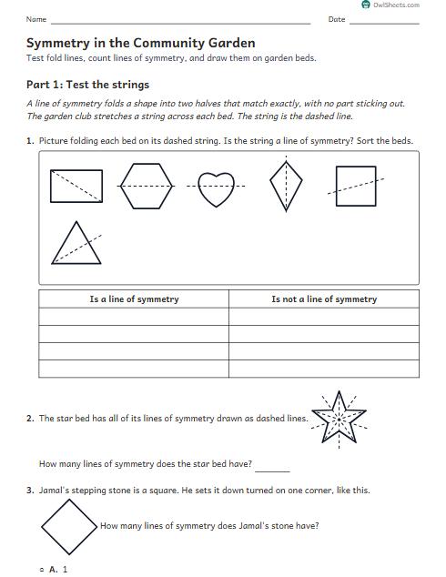 Symmetry in the Community Garden worksheet preview