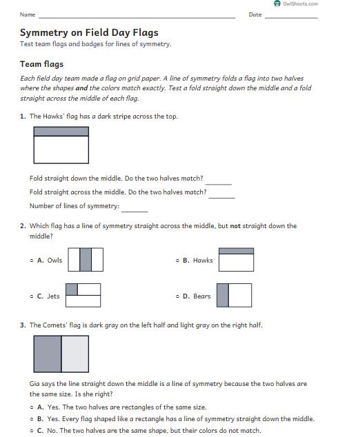 Symmetry on Field Day Flags worksheet preview