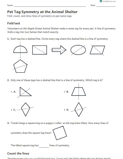 Pet Tag Symmetry at the Animal Shelter worksheet preview