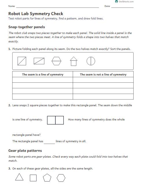 Robot Lab Symmetry Check worksheet preview