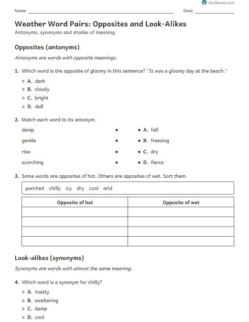 Weather Word Pairs: Opposites and Look-Alikes worksheet preview