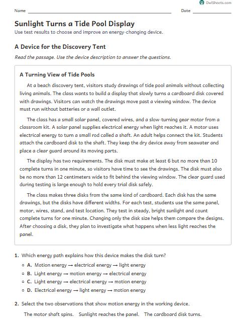 Sunlight Turns a Tide Pool Display worksheet preview