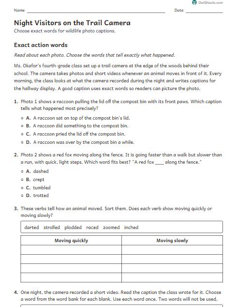 Night Visitors on the Trail Camera worksheet preview