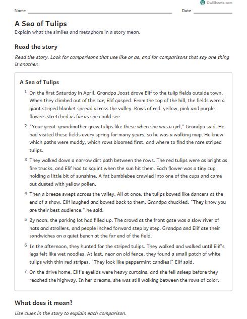 A Sea of Tulips worksheet preview