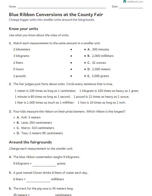 Blue Ribbon Conversions at the County Fair worksheet preview