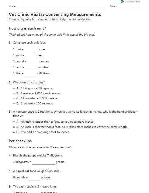 Vet Clinic Visits: Converting Measurements worksheet preview