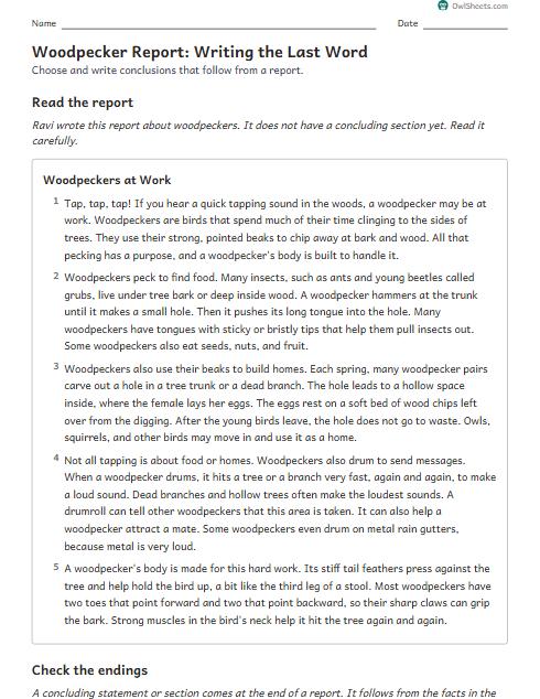 Woodpecker Report: Writing the Last Word worksheet preview