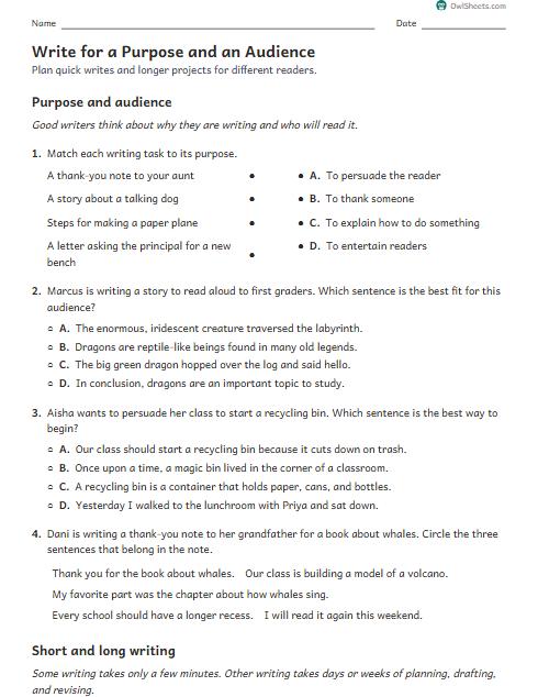 Write for a Purpose and an Audience worksheet preview