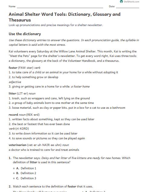Animal Shelter Word Tools: Dictionary, Glossary and Thesaurus worksheet preview