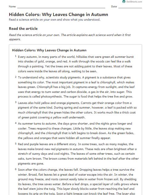 Hidden Colors: Why Leaves Change in Autumn worksheet preview