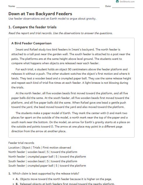 Down at Two Backyard Feeders worksheet preview