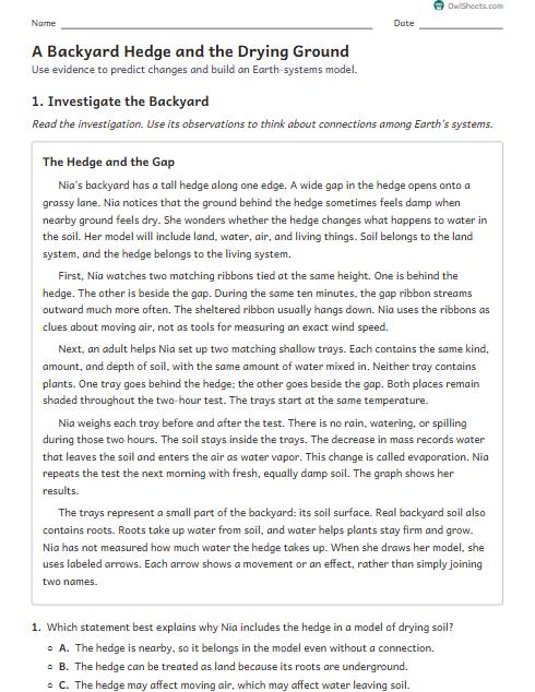 A Backyard Hedge and the Drying Ground worksheet preview